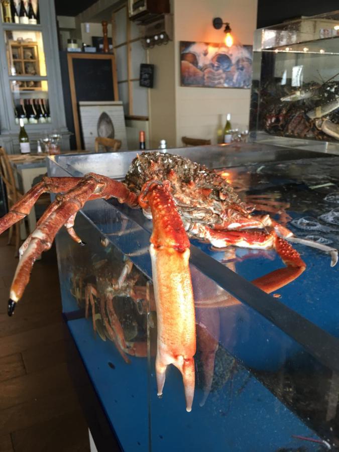 ホテル La Table De Jeanne エルキ エクステリア 写真