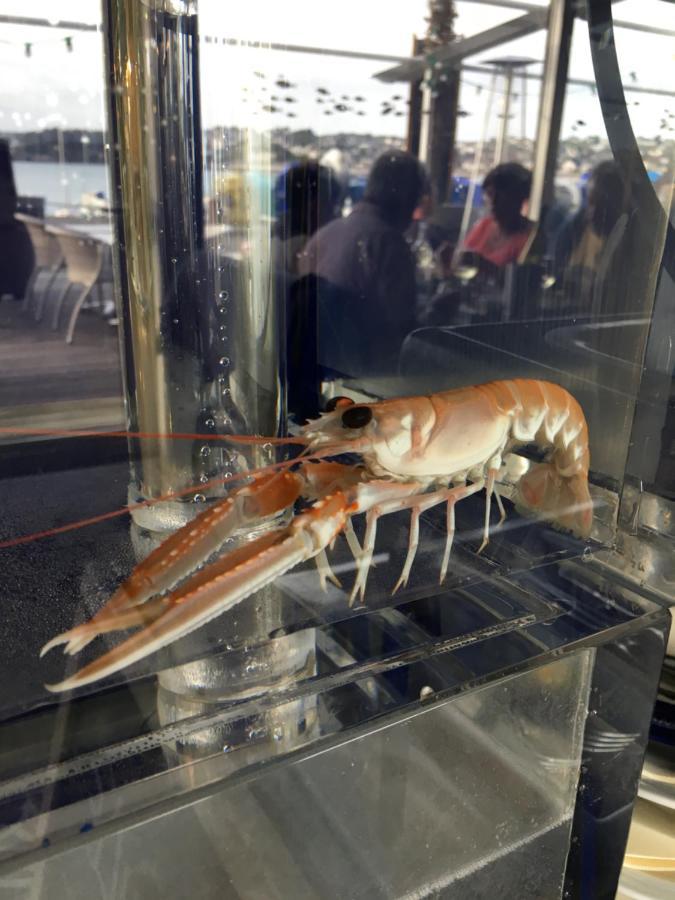 ホテル La Table De Jeanne エルキ エクステリア 写真